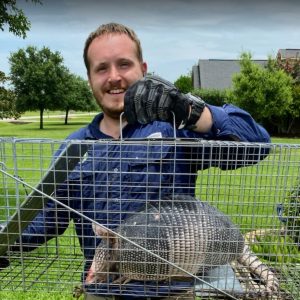 Armadillo removal