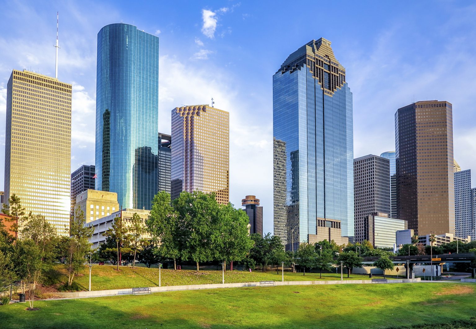 Houston Wildlife Removal Services | Katy & Spring Areas