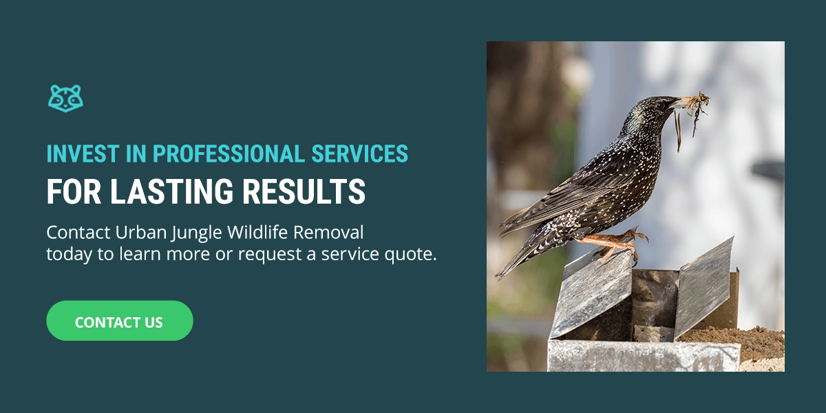 Invest in Professional Services for Lasting Results